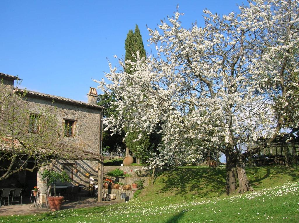 La Chiusetta Villa Orvieto Exterior photo